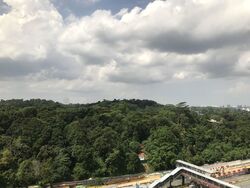 Bukit Timah Shopping Centre (D21), Office #563524691